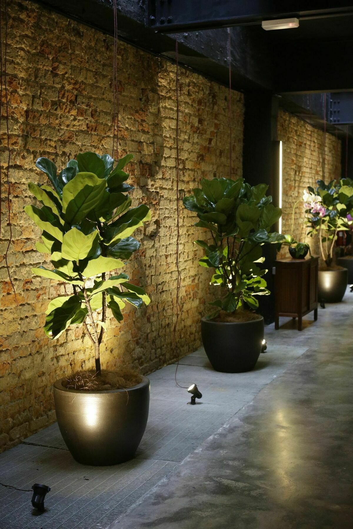 Tian Jing Hotel Kuala Lumpur Eksteriør billede